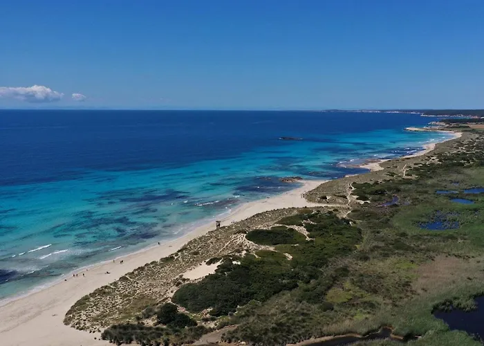 Gardens By Interhome Son Bou